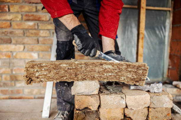 Best Best Insulation Companies  in Montague, MI
